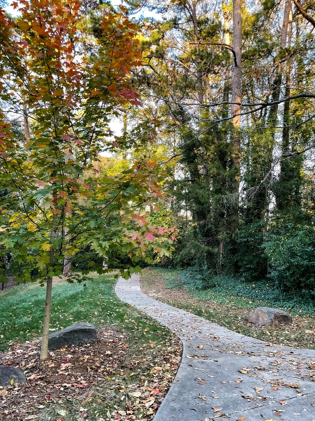 Embracing the Art of Surrender: Learning to Fall Through Challenges